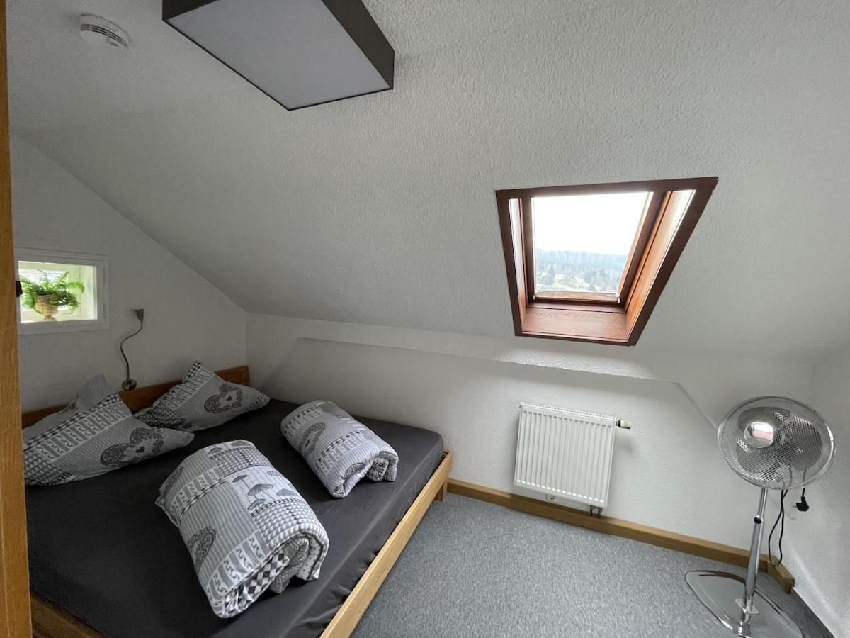 Apartment Fuer Zwei Klingenthal